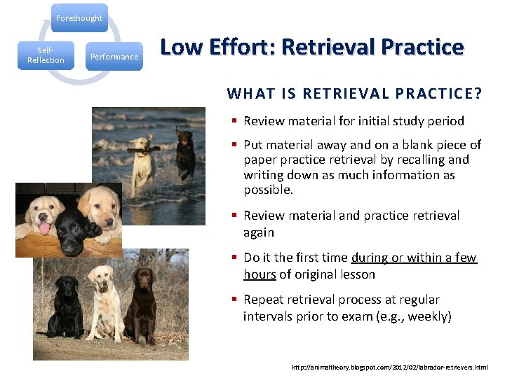 Forethought Self. Reflection Performance Low Effort: Retrieval Practice WHAT IS RETRIEVAL PRACTICE? § Review Forethought Self. Reflection Performance Low Effort: Retrieval Practice WHAT IS RETRIEVAL PRACTICE? § Review