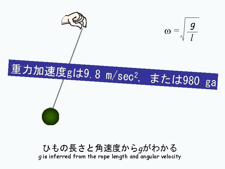 w= 重力加速度gは 9. g l 8 m/sec 2, または 980 gal( ひもの長さと角速度からgがわかる g is