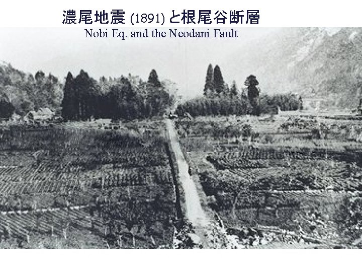 濃尾地震 (1891) と根尾谷断層 Nobi Eq. and the Neodani Fault 