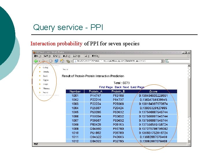 Query service - PPI Interaction probability of PPI for seven species Query service - PPI Interaction probability of PPI for seven species