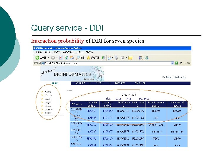 Query service - DDI Interaction probability of DDI for seven species Query service - DDI Interaction probability of DDI for seven species