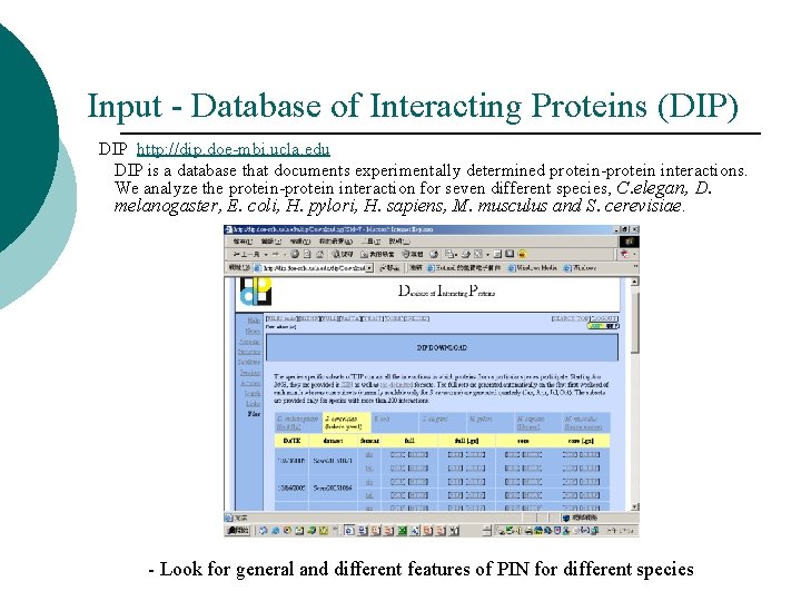Input - Database of Interacting Proteins (DIP) DIP http: //dip. doe-mbi. ucla. edu DIP Input - Database of Interacting Proteins (DIP) DIP http: //dip. doe-mbi. ucla. edu DIP
