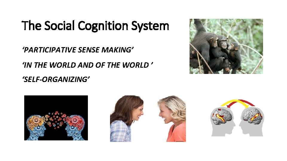 The Social Cognition System ‘PARTICIPATIVE SENSE MAKING’ ‘IN THE WORLD AND OF THE WORLD