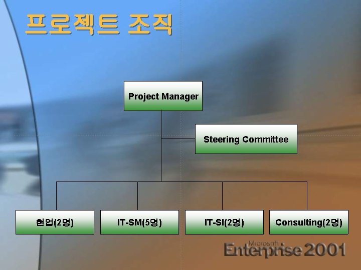 프로젝트 조직 Project Manager Steering Committee 현업(2명) IT-SM(5명) IT-SI(2명) Consulting(2명) 