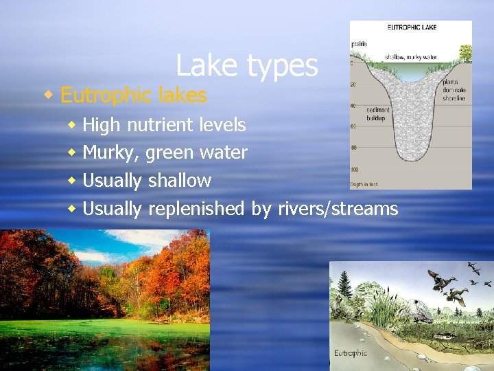Lake types Eutrophic lakes High nutrient levels Murky, green water Usually shallow Usually replenished Lake types Eutrophic lakes High nutrient levels Murky, green water Usually shallow Usually replenished