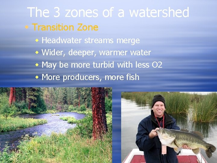 The 3 zones of a watershed Transition Zone Headwater streams merge Wider, deeper, warmer The 3 zones of a watershed Transition Zone Headwater streams merge Wider, deeper, warmer
