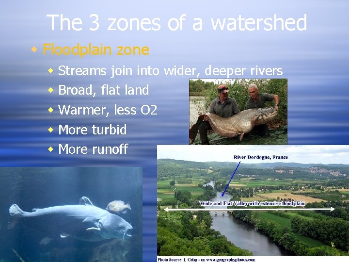 The 3 zones of a watershed Floodplain zone Streams join into wider, deeper rivers The 3 zones of a watershed Floodplain zone Streams join into wider, deeper rivers