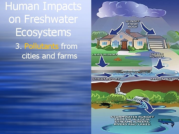 Human Impacts on Freshwater Ecosystems 3. Pollutants from cities and farms Human Impacts on Freshwater Ecosystems 3. Pollutants from cities and farms