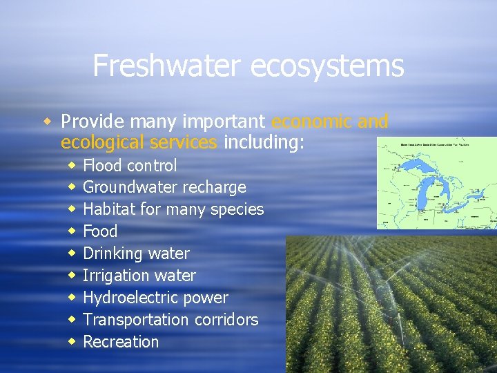 Freshwater ecosystems Provide many important economic and ecological services including: Flood control Groundwater recharge Freshwater ecosystems Provide many important economic and ecological services including: Flood control Groundwater recharge