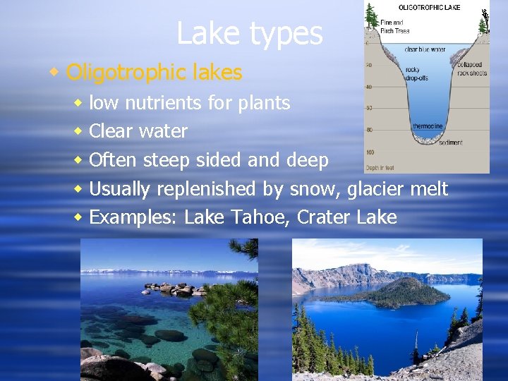Lake types Oligotrophic lakes low nutrients for plants Clear water Often steep sided and Lake types Oligotrophic lakes low nutrients for plants Clear water Often steep sided and