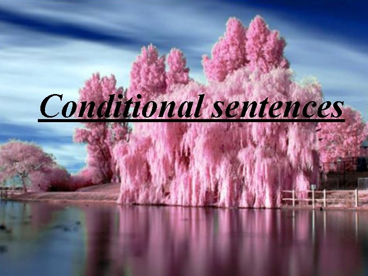 Conditional sentences 