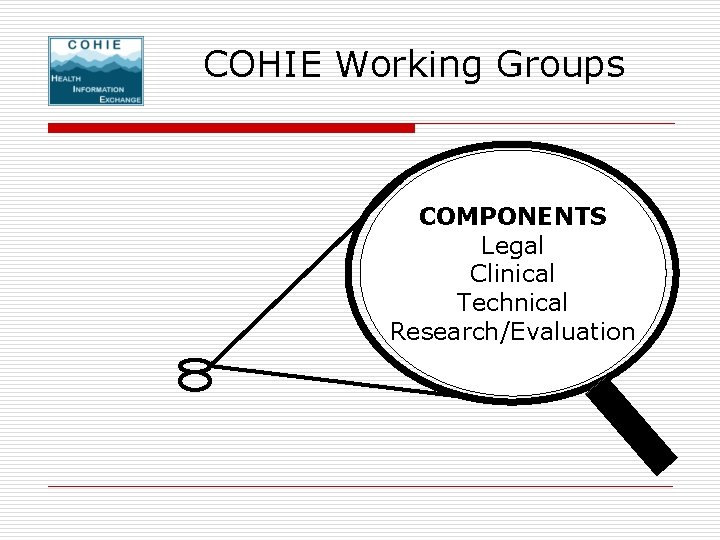 COHIE Working Groups COMPONENTS Legal Clinical Technical Research/Evaluation 