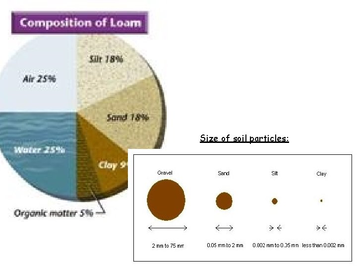 Size of soil particles: 