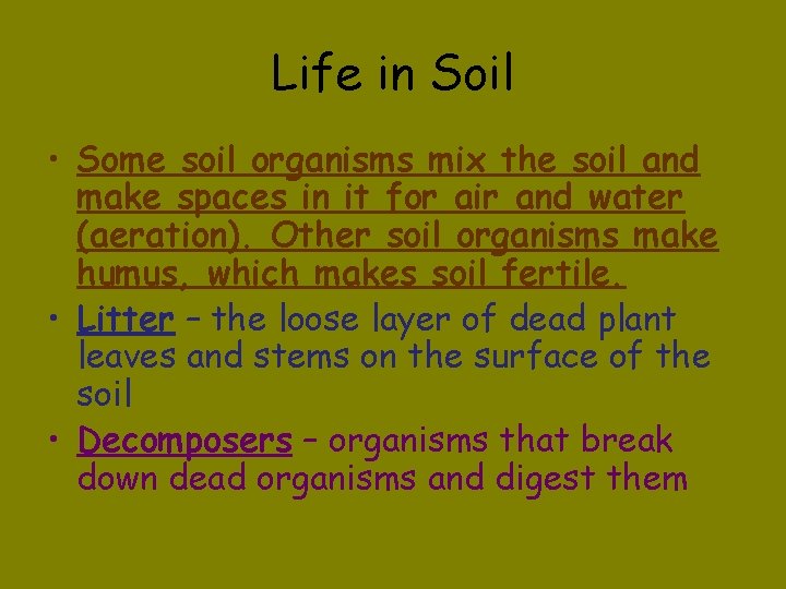 Life in Soil • Some soil organisms mix the soil and make spaces in