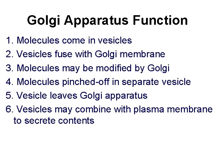 Golgi Apparatus Function 1. Molecules come in vesicles 2. Vesicles fuse with Golgi membrane Golgi Apparatus Function 1. Molecules come in vesicles 2. Vesicles fuse with Golgi membrane