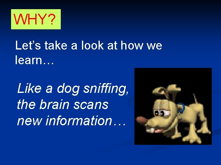 WHY? Let’s take a look at how we learn… Like a dog sniffing, the