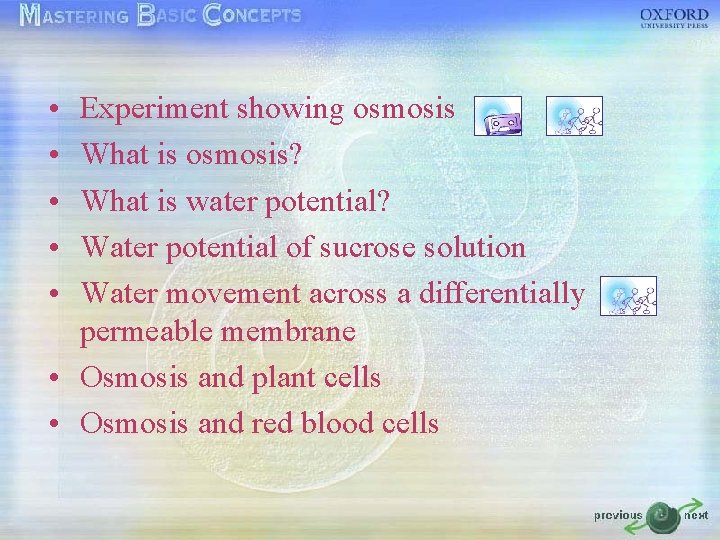  • • • Experiment showing osmosis What is osmosis? What is water potential?