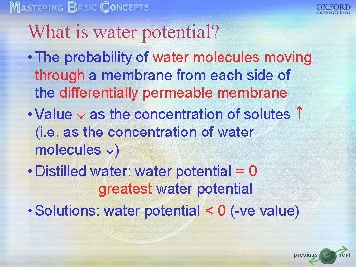 What is water potential? • The probability of water molecules moving through a membrane