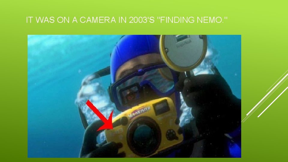 IT WAS ON A CAMERA IN 2003'S "FINDING NEMO. " 