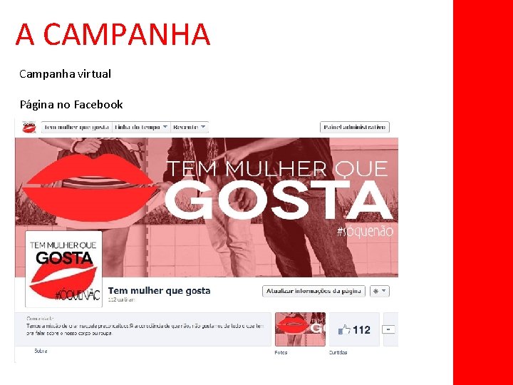 A CAMPANHA Campanha virtual Página no Facebook 