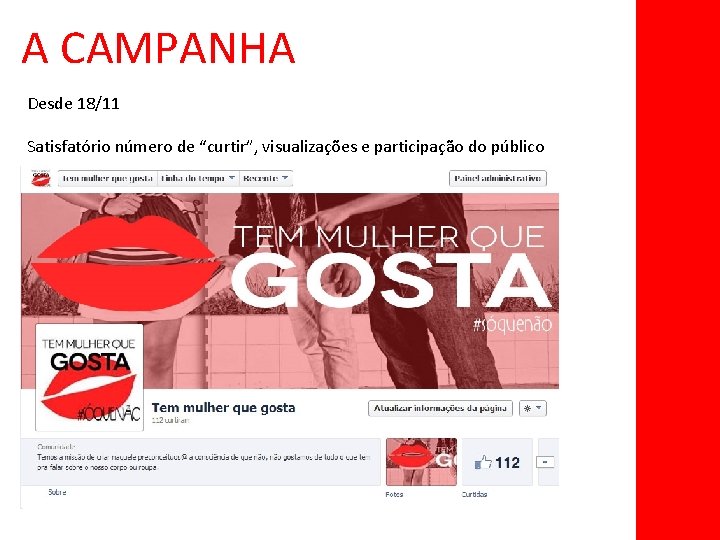 A CAMPANHA Desde 18/11 Satisfatório número de “curtir”, visualizações e participação do público 
