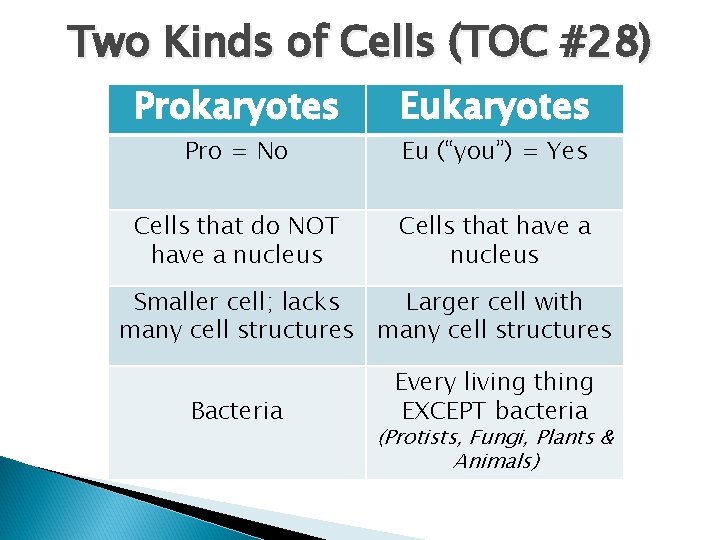 Two Kinds of Cells (TOC #28) Prokaryotes Eukaryotes Cells that do NOT have a