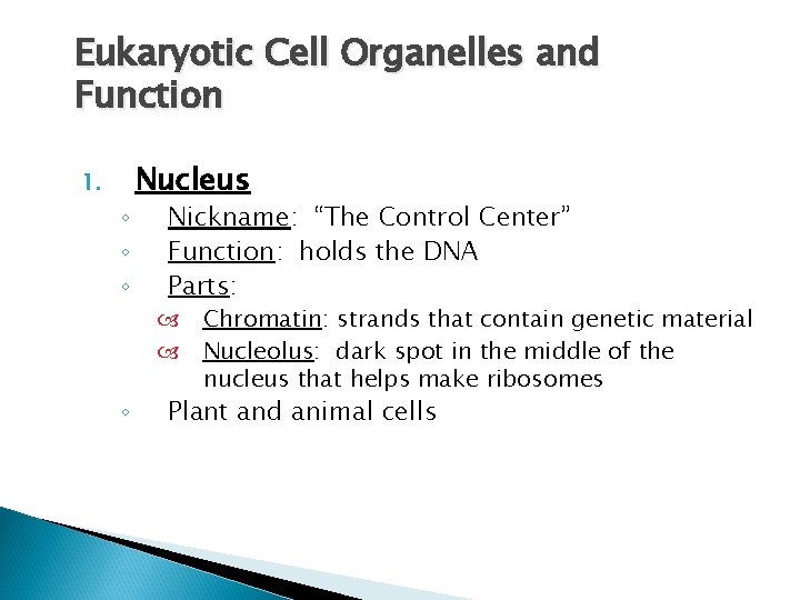 Eukaryotic Cell Organelles and Function 1. ◦ ◦ Nucleus Nickname: “The Control Center” Function:
