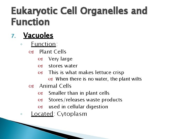 Eukaryotic Cell Organelles and Function 7. ◦ Vacuoles Function: Plant Cells Very large stores