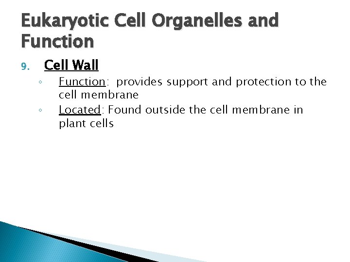 Eukaryotic Cell Organelles and Function 9. ◦ ◦ Cell Wall Function: provides support and