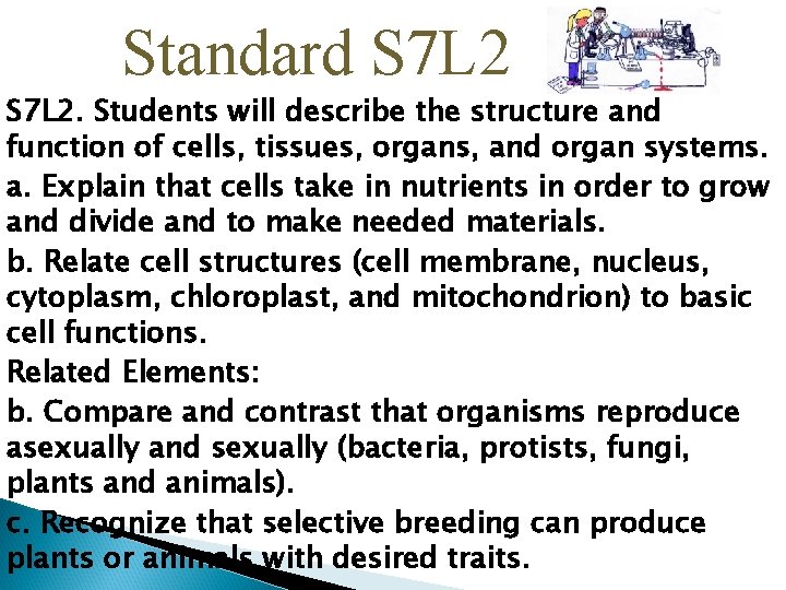 Standard S 7 L 2. Students will describe the structure and function of cells,