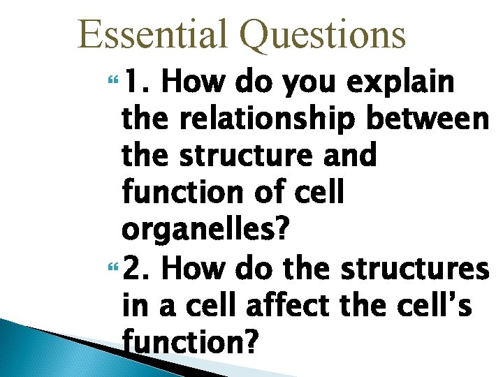 Essential Questions 1. How do you explain the relationship between the structure and function