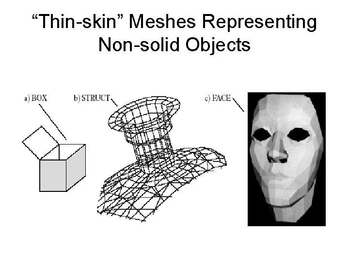 “Thin-skin” Meshes Representing Non-solid Objects “Thin-skin” Meshes Representing Non-solid Objects