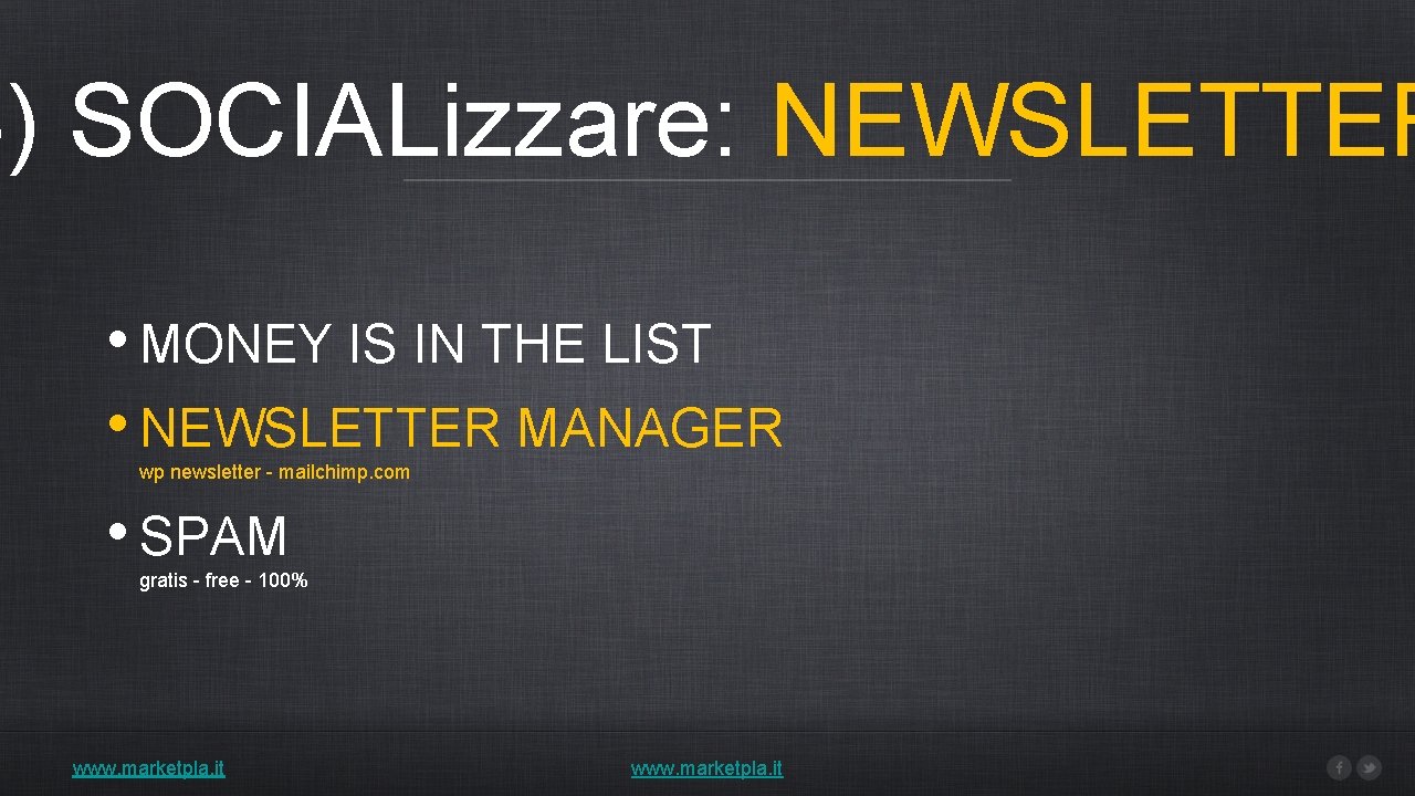 4) SOCIALizzare: NEWSLETTER • MONEY IS IN THE LIST • NEWSLETTER MANAGER wp newsletter