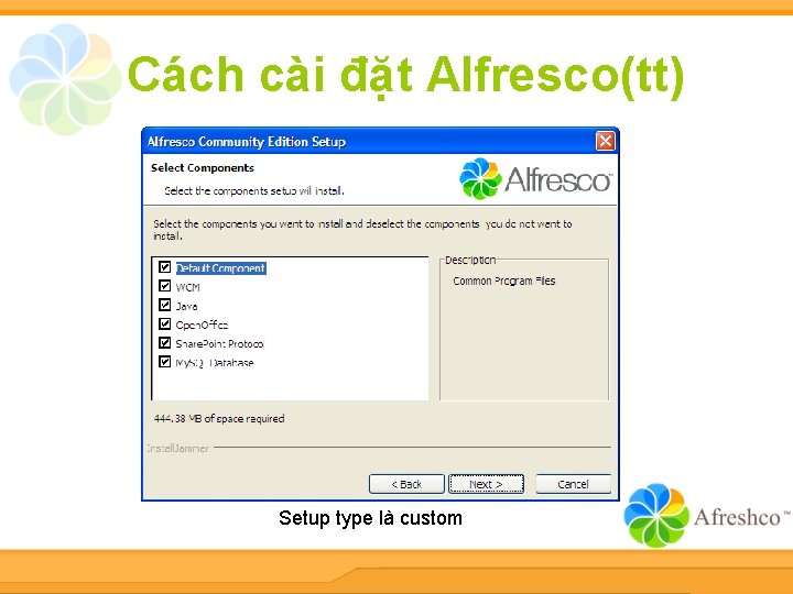 Cách cài đặt Alfresco(tt) Setup type là custom 