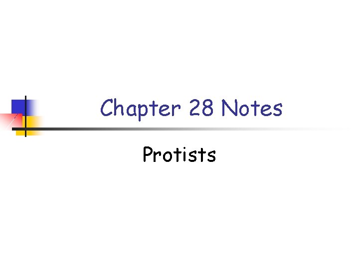 Chapter 28 Notes Protists 