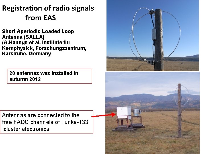Registration of radio signals from EAS Short Aperiodic Loaded Loop Antenna (SALLA) (A. Haungs