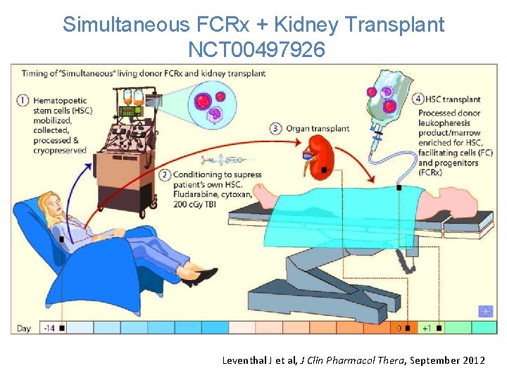 Simultaneous FCRx + Kidney Transplant NCT 00497926 Conditioning to suppress Patient’s own Immune system.