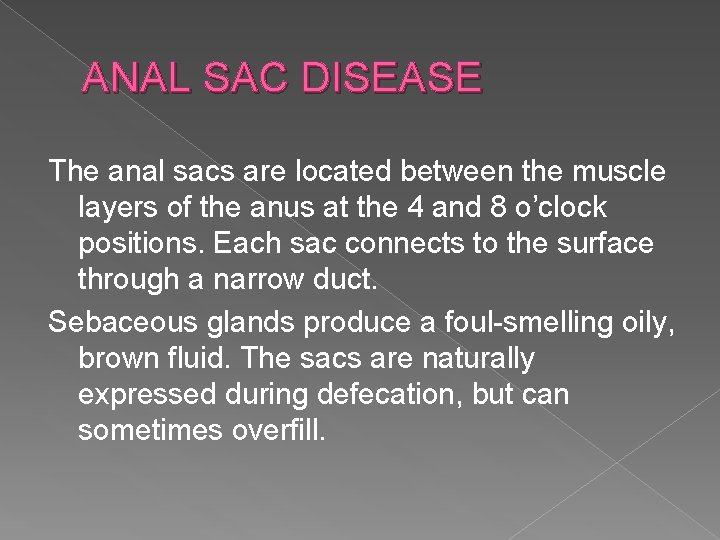 ANAL SAC DISEASE The anal sacs are located between the muscle layers of the