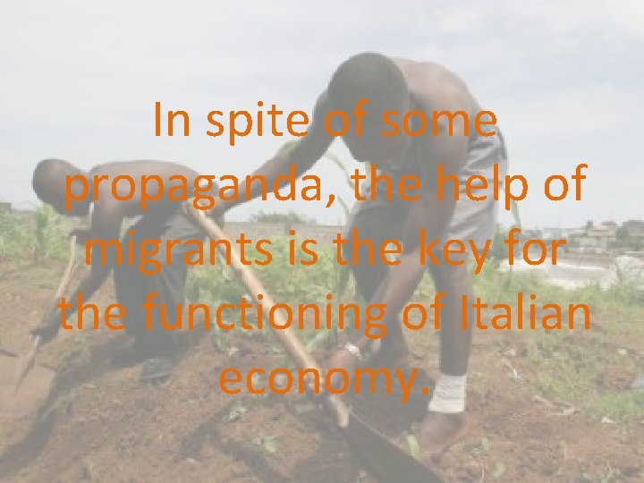 In spite of some propaganda, the help of migrants is the key for the