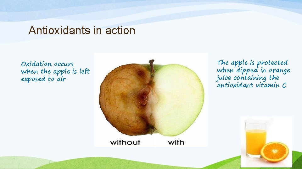 Antioxidants in action Oxidation occurs when the apple is left exposed to air The