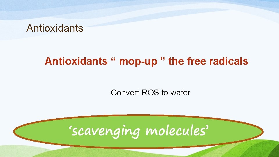 Antioxidants “ mop-up ” the free radicals Convert ROS to water ‘scavenging molecules’ 