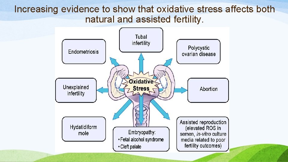 Increasing evidence to show that oxidative stress affects both natural and assisted fertility. 