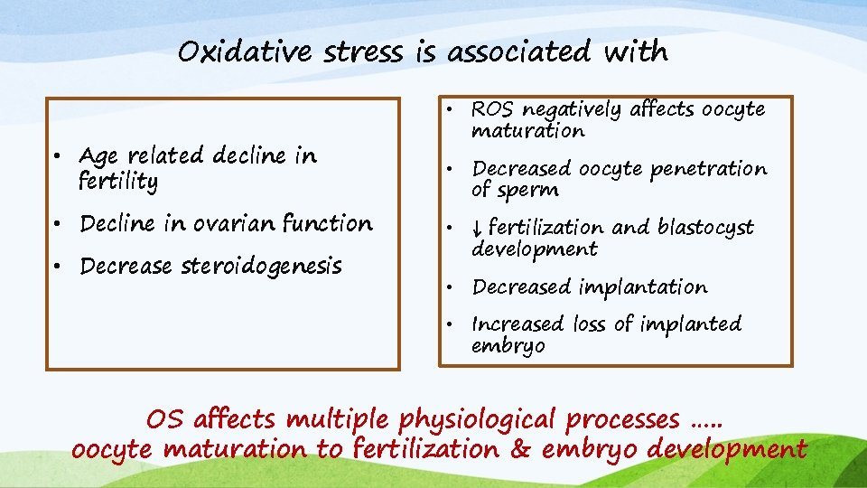 Oxidative stress is associated with • Age related decline in fertility • Decline in