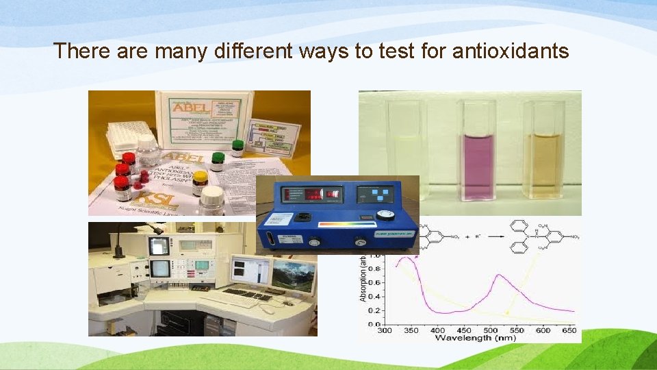 There are many different ways to test for antioxidants 