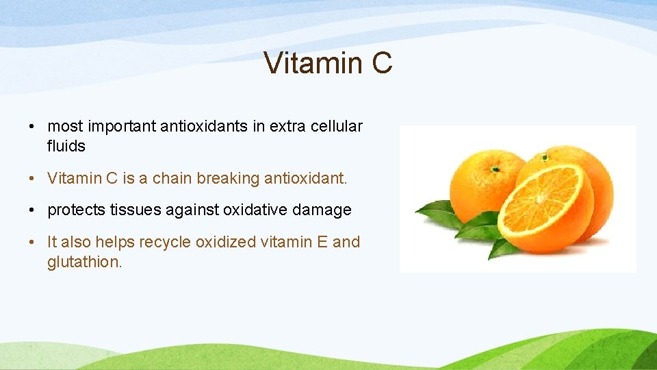 Vitamin C • most important antioxidants in extra cellular fluids • Vitamin C is