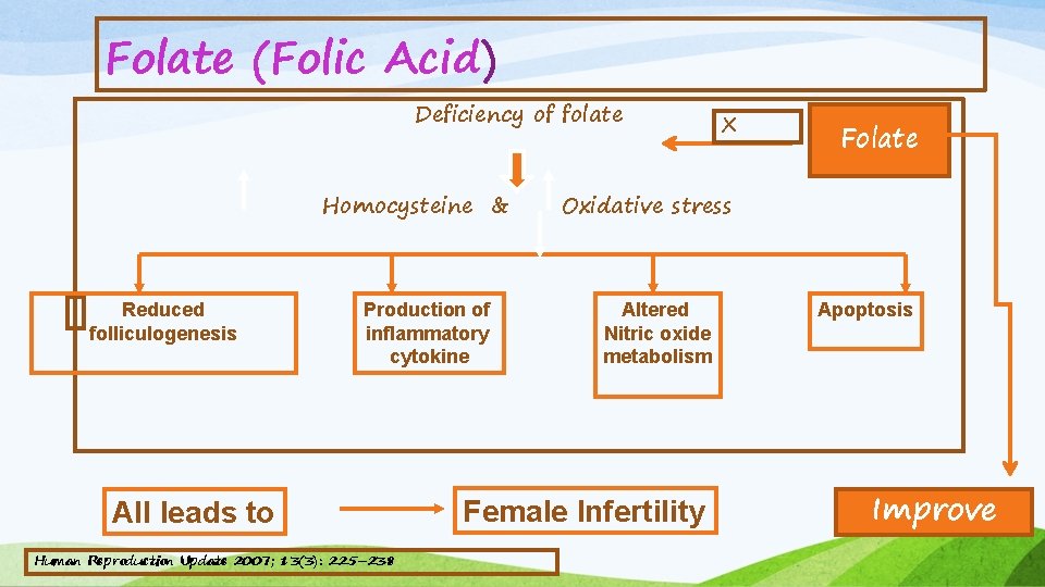 Folate (Folic Acid) Deficiency of folate Homocysteine & Reduced folliculogenesis Production of inflammatory cytokine