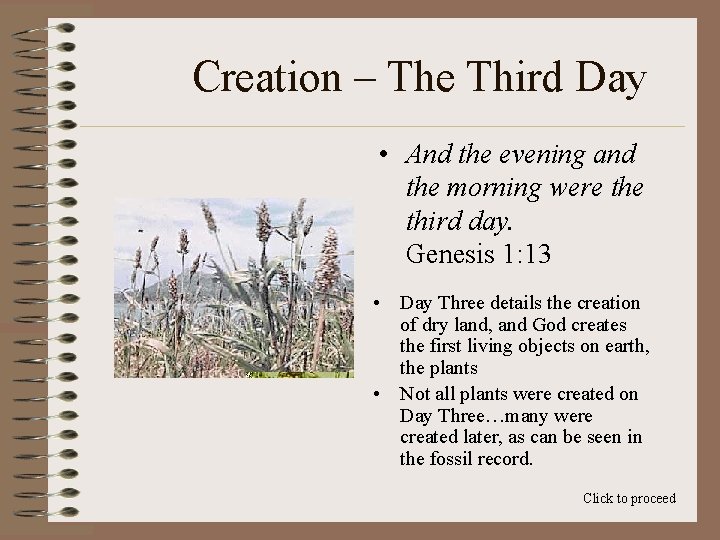 Creation – The Third Day • And the evening and the morning were third