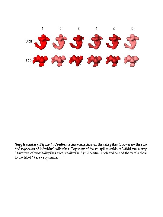 1 2 3 4 5 6 Side Top * Supplementary Figure 4: Conformation variations