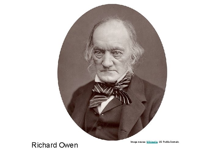 Richard Owen Image source: Wikipedia, US Public Domain. 