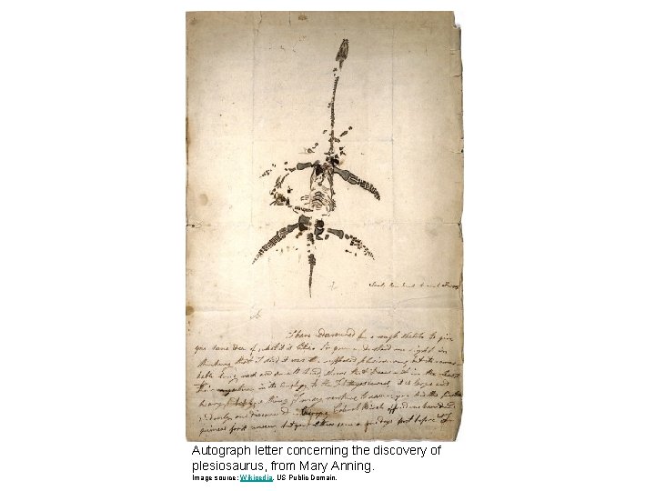 Autograph letter concerning the discovery of plesiosaurus, from Mary Anning. Image source: Wikipedia, US